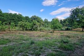 ISTRA, GROŽNJAN - Građevinsko zemljište na mirnoj lokaciji, Grožnjan, Terreno