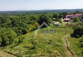 PRILIKA - veliko građevinsko zemljište, Barban, Zemljište