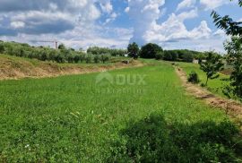 ISTRA, BARBAN - Građevinsko zemljište s otvorenim pogledom na zelenilo, Barban, Land