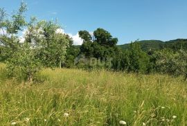 ISTRA, BUZET - Kamena ruševna kuća u srcu prirode, Buzet, Σπίτι