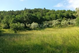 ISTRA, BUZET - Kamena ruševna kuća u srcu prirode, Buzet, Σπίτι