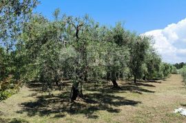 ISTRA, MEDULIN Raj na zemlji!, Medulin, Casa