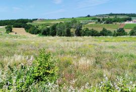 ISTRA, VIŽINADA - Građevinsko zemljište na traženoj lokaciji, Vižinada, أرض