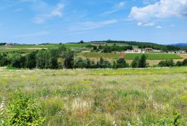 ISTRA, VIŽINADA - Građevinsko zemljište na traženoj lokaciji, Vižinada, Γη