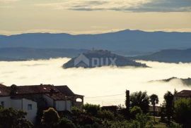 ISTRA, VIŽINADA - Građevinsko zemljište s pogledom na Motovun, Vižinada, Земля