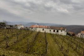 ISTRA, VIŽINADA - Građevinsko zemljište s pogledom na Motovun, Vižinada, Земля