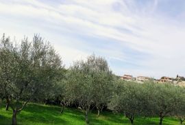 ISTRA, VIŽINADA - Građevinsko zemljište s pogledom na Motovun, Vižinada, Земля