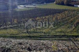 ISTRA, VIŽINADA - Građevinsko zemljište s pogledom na Motovun, Vižinada, Земля