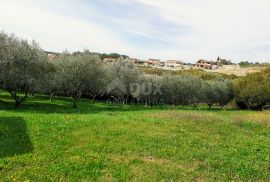 ISTRA, VIŽINADA - Građevinsko zemljište s pogledom na Motovun, Vižinada, Земля