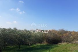 ISTRA, VIŽINADA - Građevinsko zemljište s pogledom na Motovun, Vižinada, Земля