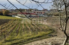 ISTRA, VIŽINADA - Građevinsko zemljište prekrasnog pogleda, Vižinada, Γη