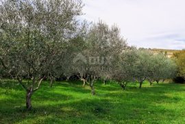 ISTRA, VIŽINADA - Građevinsko zemljište prekrasnog pogleda, Vižinada, Γη