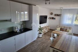 ZADAR, VIR - Prostrana kuća s 5 apartmana, Vir, Дом