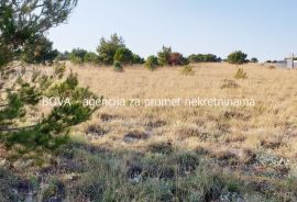 Poljoprivredno zemljište 3000 m2 na Viru, Zadar *400 m OD MORA*  (ID-1875), Vir, Arazi