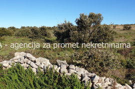 Poljoprivredno zemljište 12500 m2 na Viru *POGLED MORE* *PRILIKA*  (ID-1694), Vir, Terreno