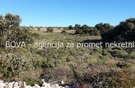 Poljoprivredno zemljište 12500 m2 na Viru *POGLED MORE* *PRILIKA*  (ID-1694), Vir, Terreno