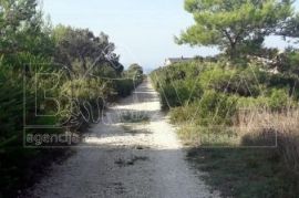 Građevinsko zemljište 3800 m2 na Viru, Zadar *200 m OD PLAŽE*, Vir, Tierra