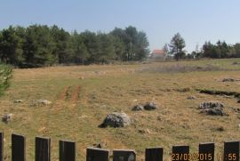 Poljoprivredno zemljište, Vir, 11300 m2 lijepa pozicija!  (ID-404), Vir, Zemljište