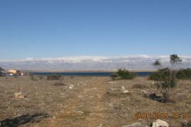 Poljoprivredno zemljište, Vir, 10100 m2  (ID-334), Vir, Terrain