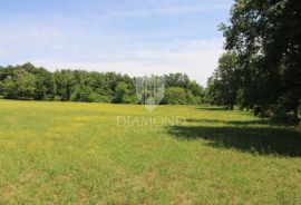 Žminj, prostrano građevinsko zemljište s objektom, Žminj, Land