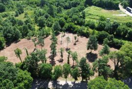 Barban, okolica, građevinsko zemljište na lijepoj lokaciji, Barban, Land