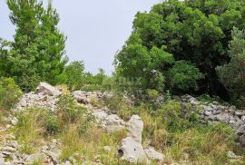 ZADAR, TRIBANJ - PRILIKA - građevinsko zemljište na rubu nacionalnog parka Paklenica, Starigrad, Land