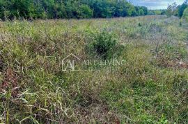 Poreč, okolica -  građevinsko zemljište na mirnoj i lijepoj lokaciji, Poreč, Land