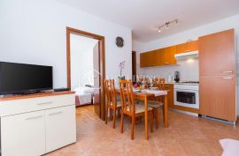 Istra, Novigrad - prekrasan stan sa bazenom na mirnoj i lijepoj lokaciji, Novigrad, Apartamento