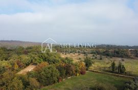 Buje, okolica - šarmantno građevinsko zemljište na atraktivnoj lokaciji, Buje, Terrain