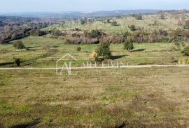 Umag, okolica - atraktivno poljoprivredno zemljište na lijepoj lokaciji, Umag, Land