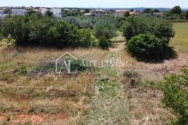 Vodnjan - okolica, atraktivno građevinsko zemljište s pogledom na more, Vodnjan, Tierra