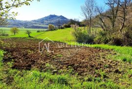 Motovun-okolica, Građevinsko zemljište T2, s pogledom na Motovun, Motovun, Γη