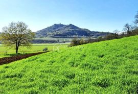 Motovun-okolica, Vrijedno građevinsko zemljište s pogledom na Motovun, Motovun, Land