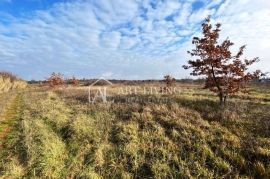 Umag-okolica, Građevinsko zemljište na atraktivnoj lokaciji 1 566 m2, Umag, Γη