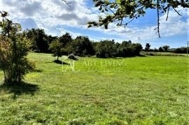 Grožnjan-okolica, atraktivno građevinsko zemljište 7000 m2, Grožnjan, Terrain