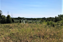 Novigrad-okolica, građevinsko zemljište 3618 m2 s pogledom na more, Novigrad, Terrain