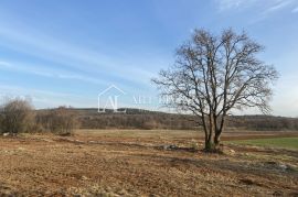 Istra- Bale, Iznimno vrijedno poljoprivredno zemljište 11,200 m2, Bale, Земля