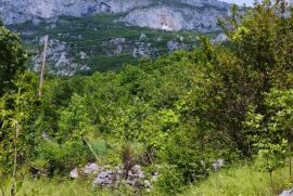 Zemljište u Dabovićima ispod manastira Ostrog, hitno, veoma povoljno, Danilovgrad, Terrain