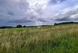 Kaštelir, prostrano poljoprivredno zemljište, Poreč, Land