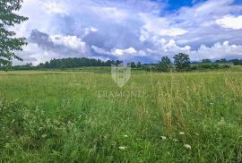 Kaštelir, prostrano poljoprivredno zemljište, Poreč, Land