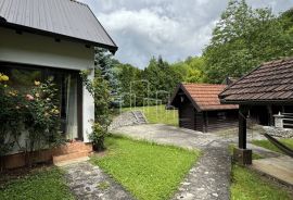 Luksuzna kuća sa uređenim zemljištem prodaja Ljubina Ilijaš, Ilijaš, Ev