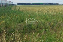 Pećinci - Industrijska zona Šimanovci, Thermo King - 120a ID#20802, Pećinci, Land