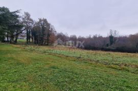 ISTRA, PAZIN - Poljoprivredno zemljište površine 10.000 m2, Pazin - Okolica, Land