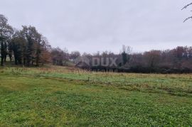 ISTRA, PAZIN - Poljoprivredno zemljište površine 10.000 m2, Pazin - Okolica, Terra