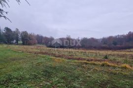 ISTRA, PAZIN - Poljoprivredno zemljište površine 10.000 m2, Pazin - Okolica, Terra