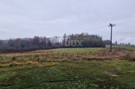 ISTRA, PAZIN - Poljoprivredno zemljište površine 10.000 m2, Pazin - Okolica, Terra