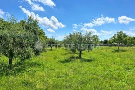 Prodaje se građevinsko zemljište u Filipani, Marčana, Land