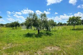 Prodaje se građevinsko zemljište u Filipani, Marčana, Land