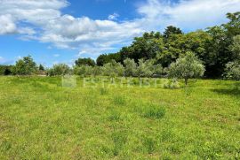 Prodaje se građevinsko zemljište u Filipani, Marčana, Land