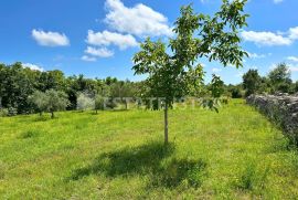 Prodaje se građevinsko zemljište u Filipani, Marčana, Land